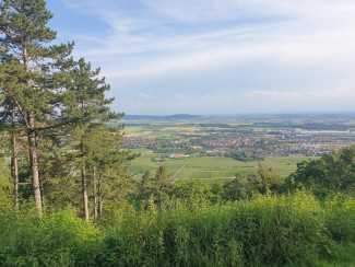 Vom Schwanberg hinunter