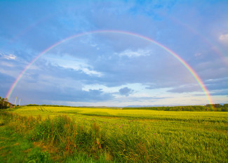 Regenbogen